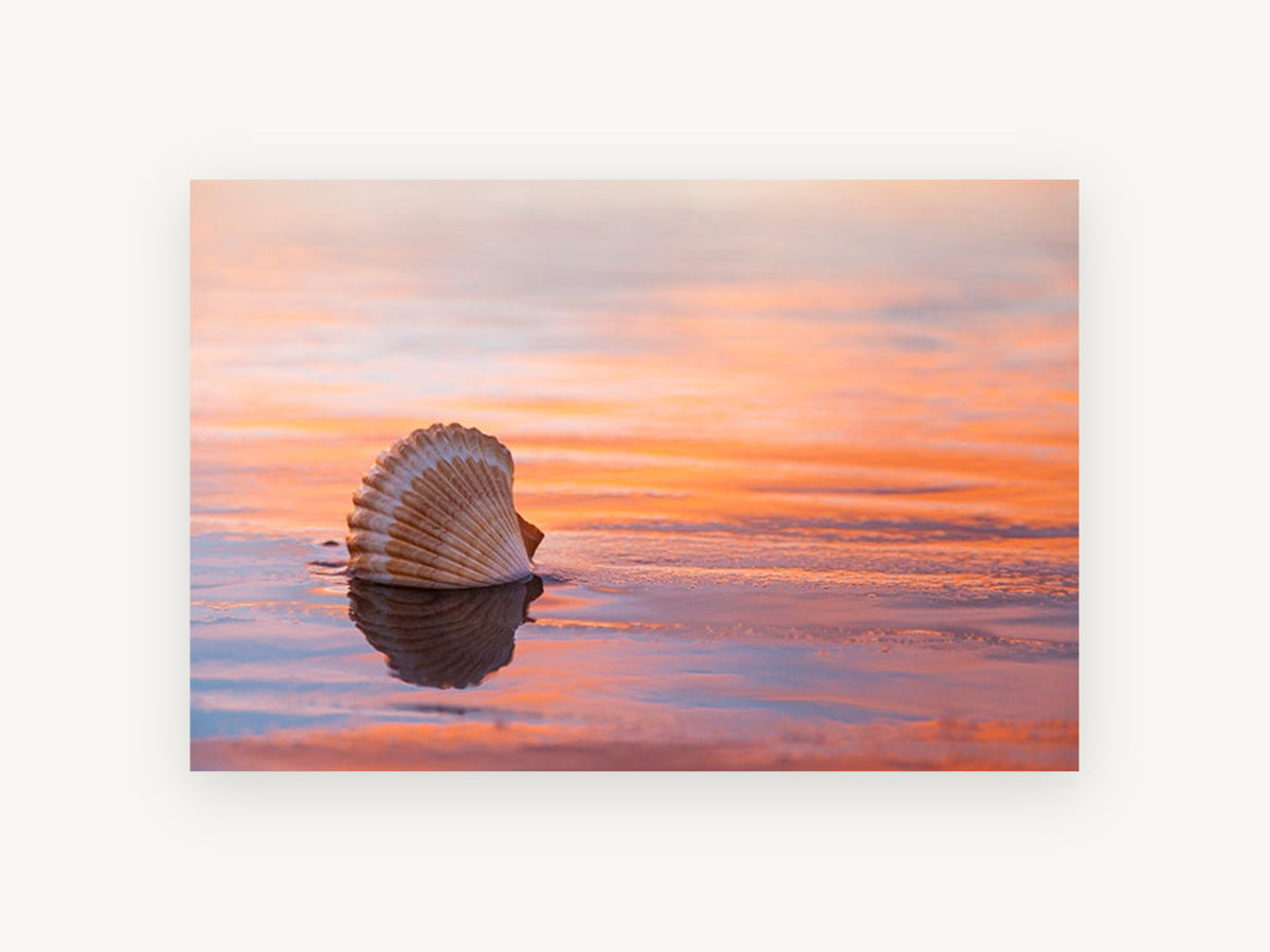 Shell at Sunset Shore, coastal canvas wall art print, front view