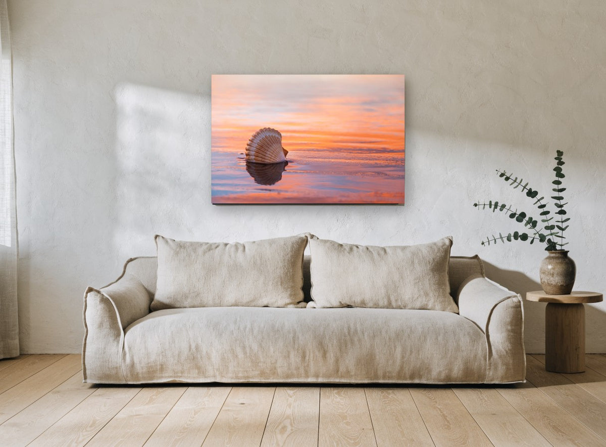 Shell at Sunset Shore coastal canvas print on the wall of a living room