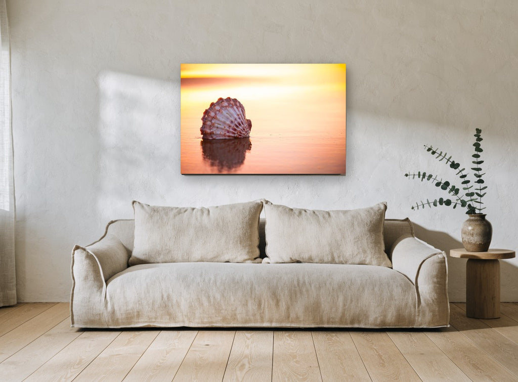 Scallop Shell at Sunrise coastal canvas print on the wall of a living room