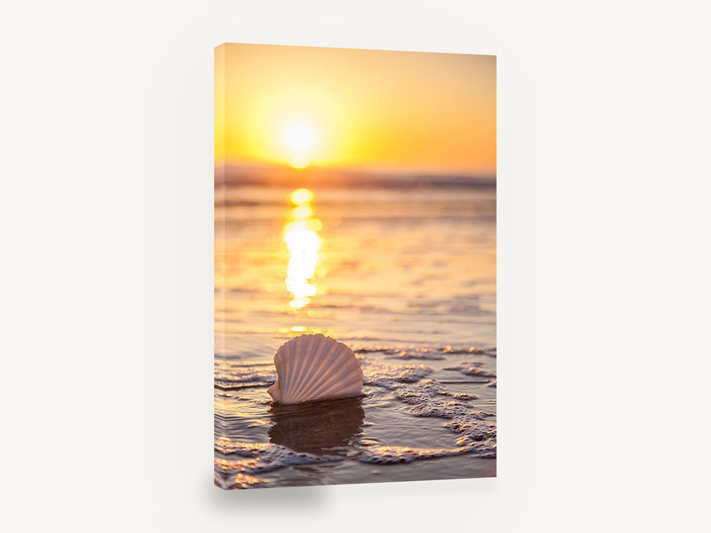 Golden Shoreline Scallop Shell, sunrise scallop shell beach photograph, coastal canvas wall art print ready to hang