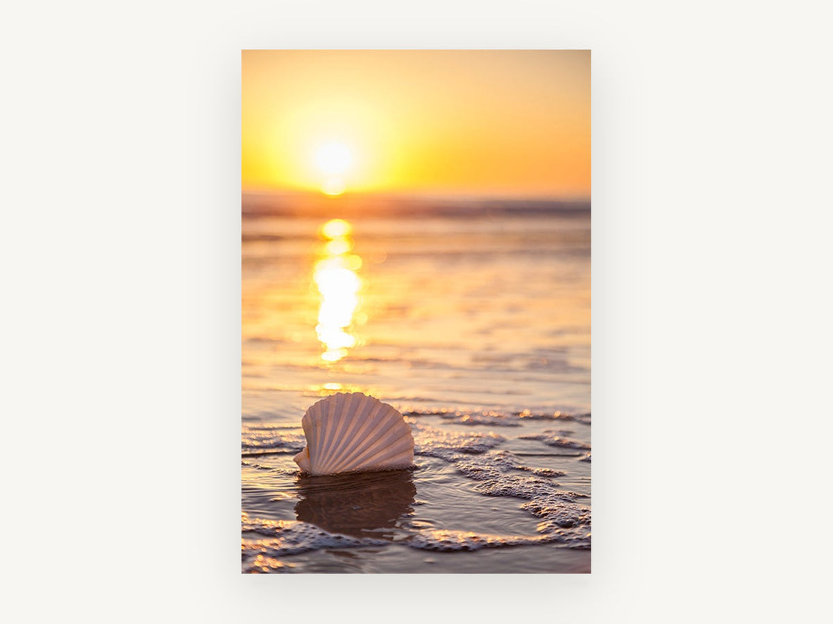 Golden Shoreline Scallop Shell, coastal canvas wall art print, front view