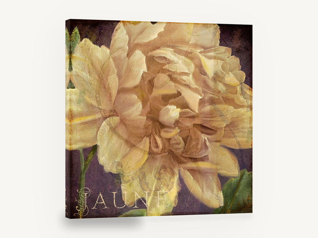 Cream Peony on Plum, cream yellow peony vintage floral, floral canvas wall art print ready to hang