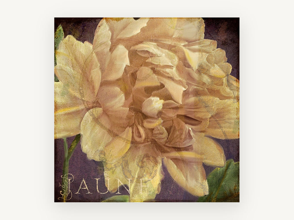 Cream Peony on Plum, floral canvas wall art print, front view