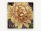Cream Peony on Plum, floral canvas wall art print, front view