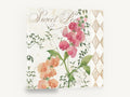 Sweet Pea Harlequin, pink sweet pea botanical illustration, floral canvas wall art print ready to hang