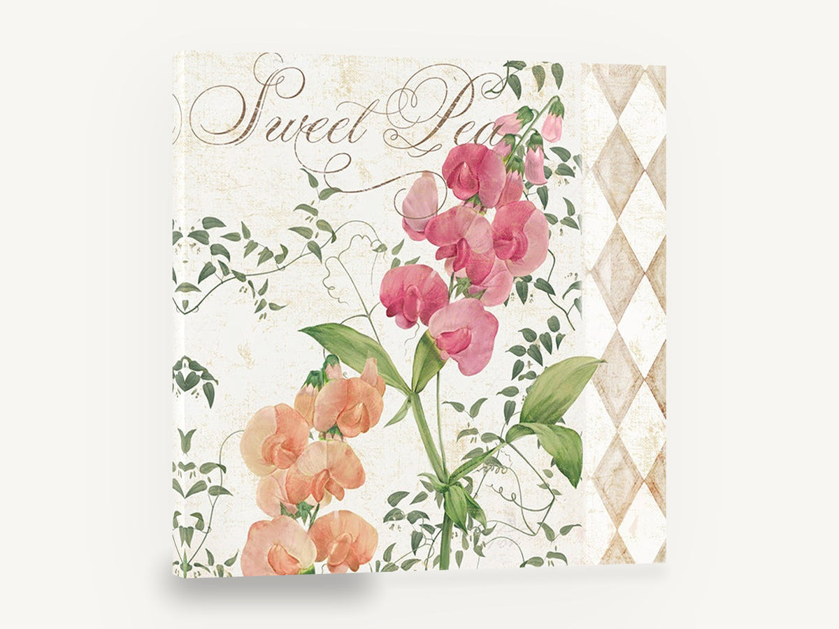 Sweet Pea Harlequin, pink sweet pea botanical illustration, floral canvas wall art print ready to hang