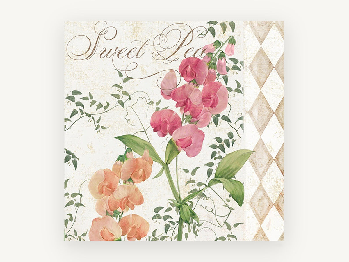 Sweet Pea Harlequin, floral canvas wall art print, front view