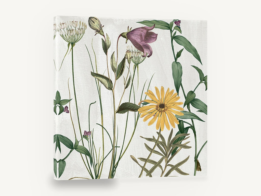 Meadow Bell and Daisy, wildflower botanical illustration yellow daisy, floral canvas wall art print ready to hang
