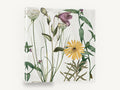 Meadow Bell and Daisy, wildflower botanical illustration yellow daisy, floral canvas wall art print ready to hang