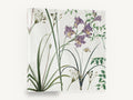 Lilac Gladioli Meadow, purple gladioli botanical illustration, floral canvas wall art print ready to hang