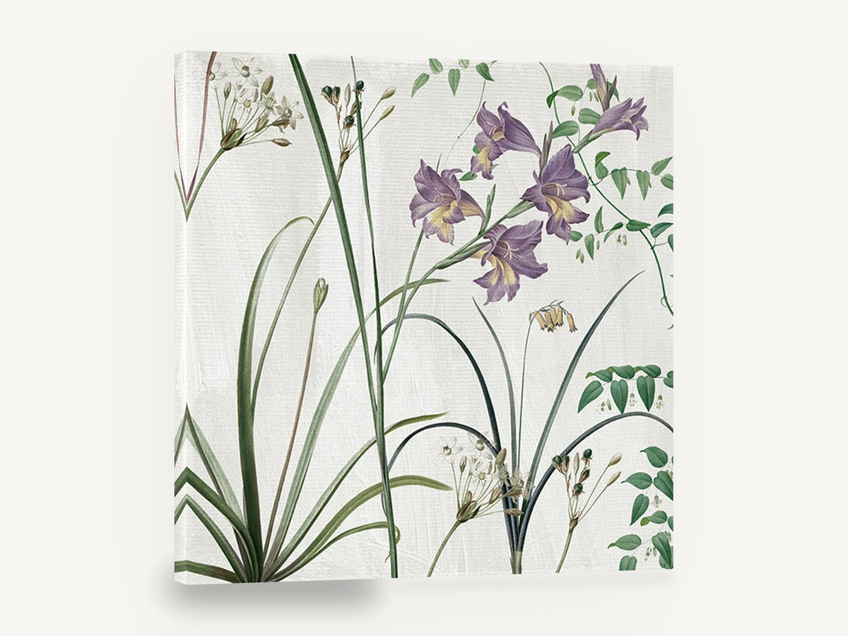 Lilac Gladioli Meadow, purple gladioli botanical illustration, floral canvas wall art print ready to hang