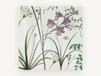 Lilac Gladioli Meadow, floral canvas wall art print, front view