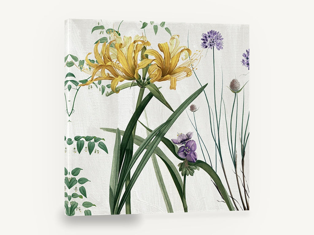 Golden Lily Meadow, yellow lily allium botanical illustration, floral canvas wall art print ready to hang