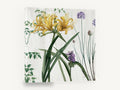 Golden Lily Meadow, yellow lily allium botanical illustration, floral canvas wall art print ready to hang