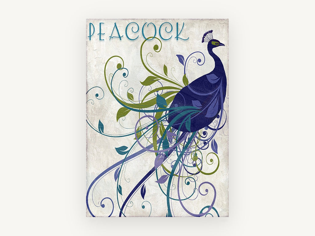 Swirling Peacock Plume, art nouveau peacock illustration, animal canvas wall art print, front view