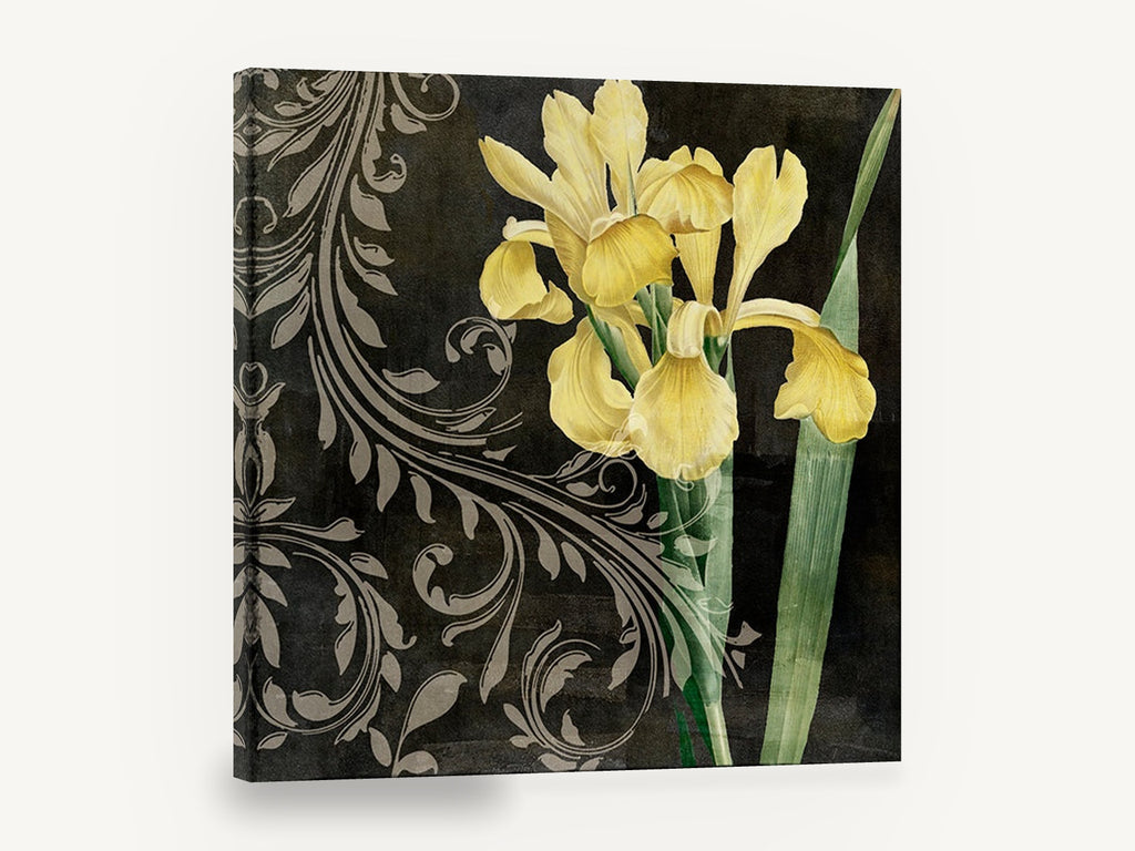 Yellow Iris Scrollwork, yellow iris botanical on black, floral canvas wall art print ready to hang