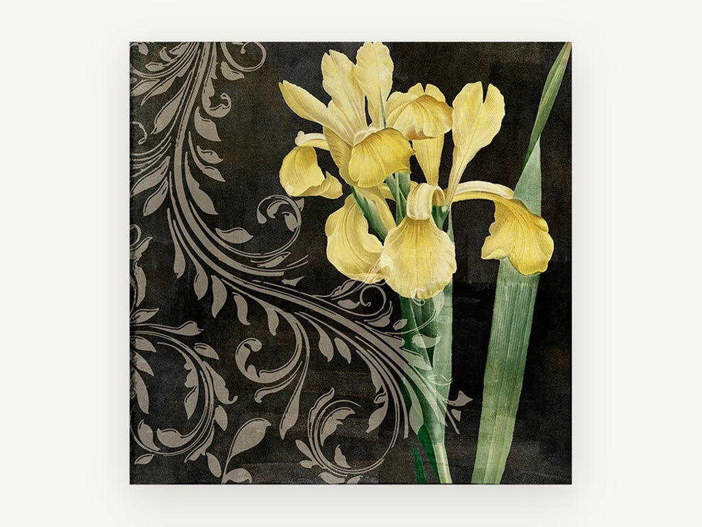 Yellow Iris Scrollwork, floral canvas wall art print, front view