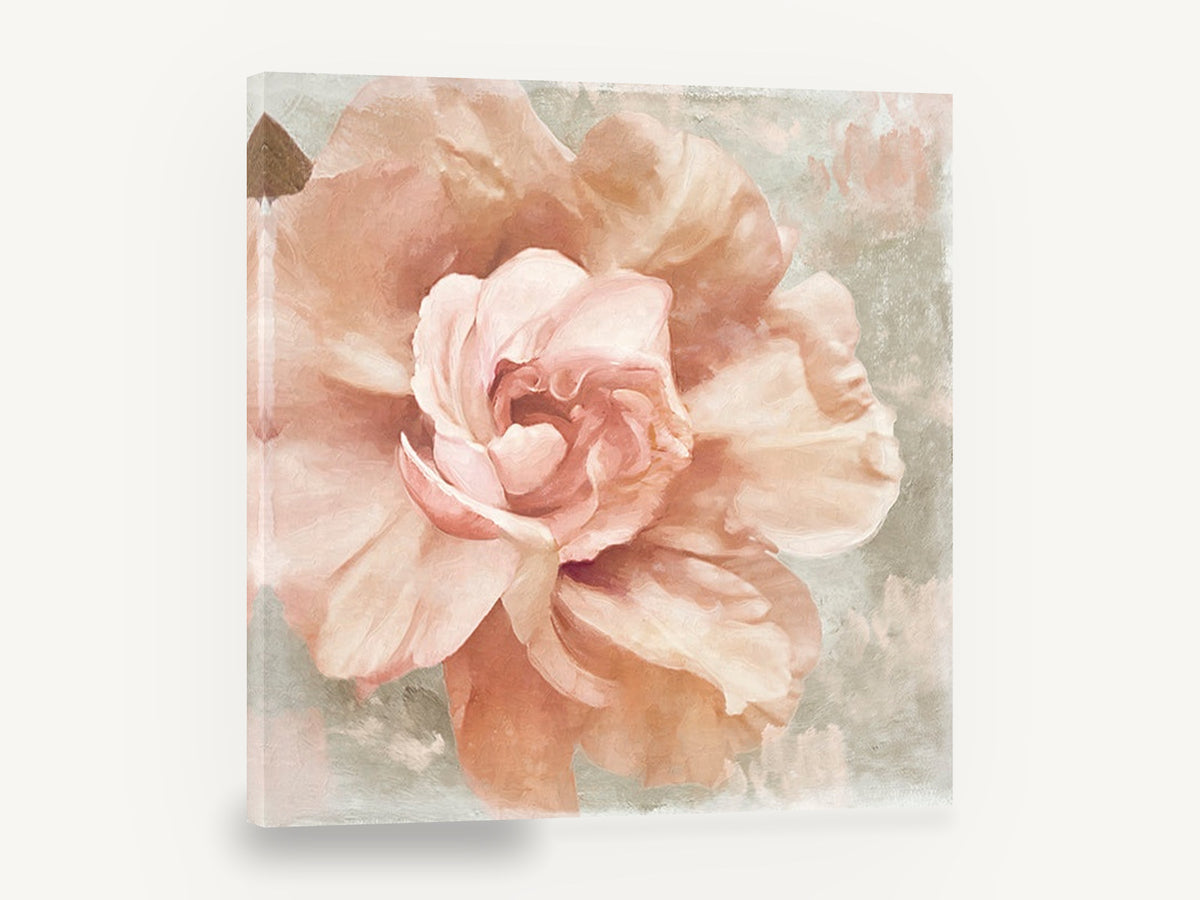 Blush Rose Bloom, blush pink rose textured floral, floral canvas wall art print ready to hang