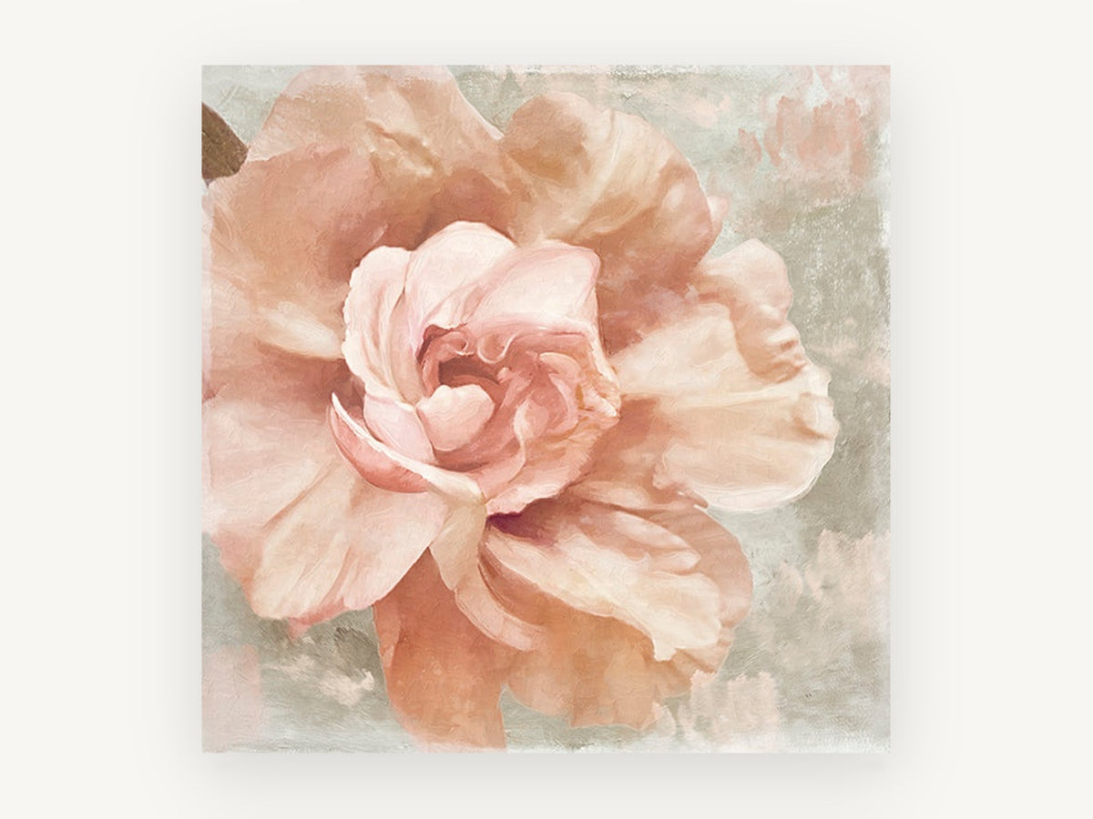 Blush Rose Bloom, floral canvas wall art print, front view