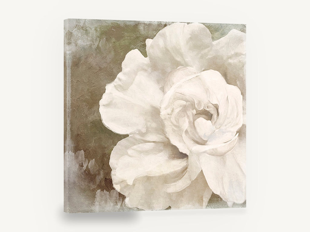 Ivory Bloom Impasto, white rose textured floral painting, floral canvas wall art print ready to hang