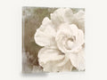 Ivory Bloom Impasto, white rose textured floral painting, floral canvas wall art print ready to hang