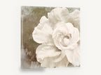 Ivory Bloom Impasto, white rose textured floral painting, floral canvas wall art print ready to hang