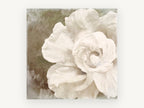 Ivory Bloom Impasto, floral canvas wall art print, front view