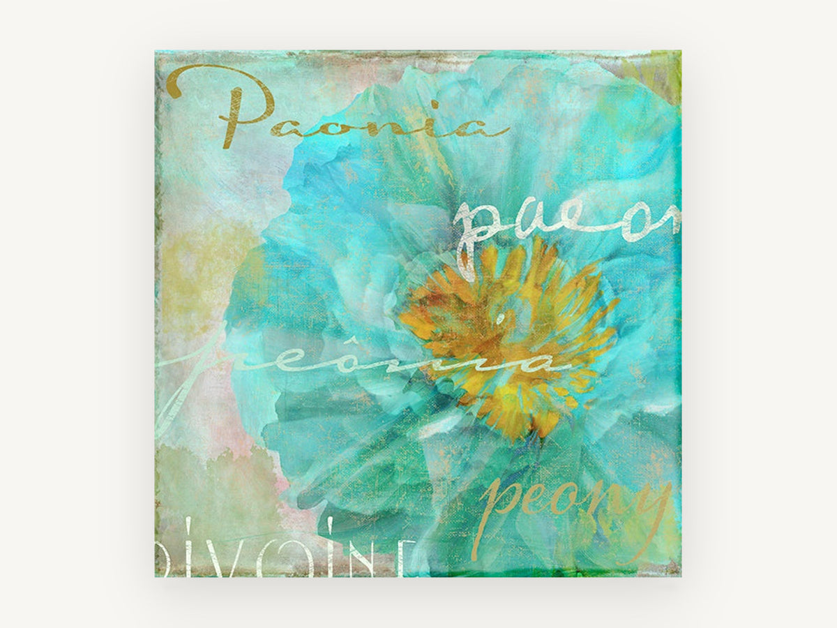 Aqua Peony Script, floral canvas wall art print, front view