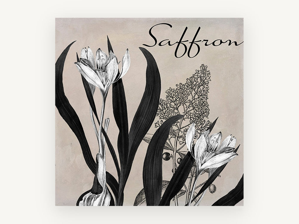 Saffron Crocus Study, floral canvas wall art print, front view