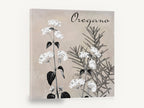 Oregano in Bloom, oregano botanical black and white, floral canvas wall art print ready to hang