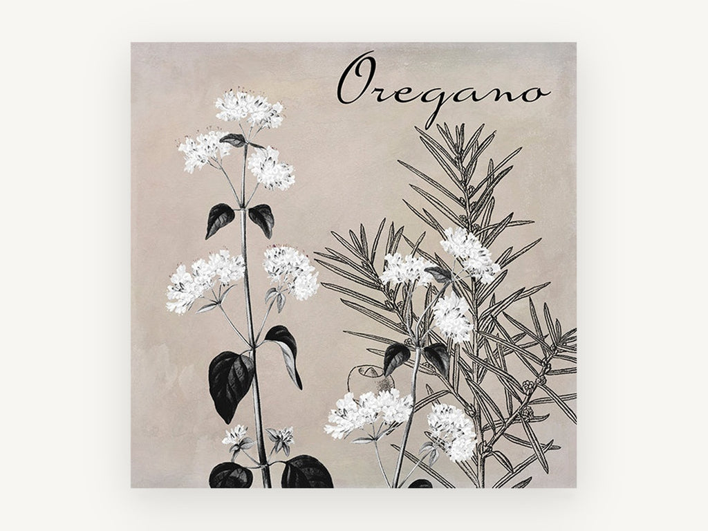 Oregano in Bloom, floral canvas wall art print, front view