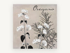 Oregano in Bloom, floral canvas wall art print, front view