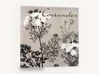 Coriander in Bloom, coriander herb botanical black and white, floral canvas wall art print ready to hang