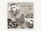 Coriander in Bloom, floral canvas wall art print, front view