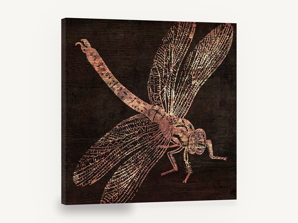 Copper Dragonfly on Timber, copper dragonfly illustration on dark wood, animal canvas wall art print ready to hang