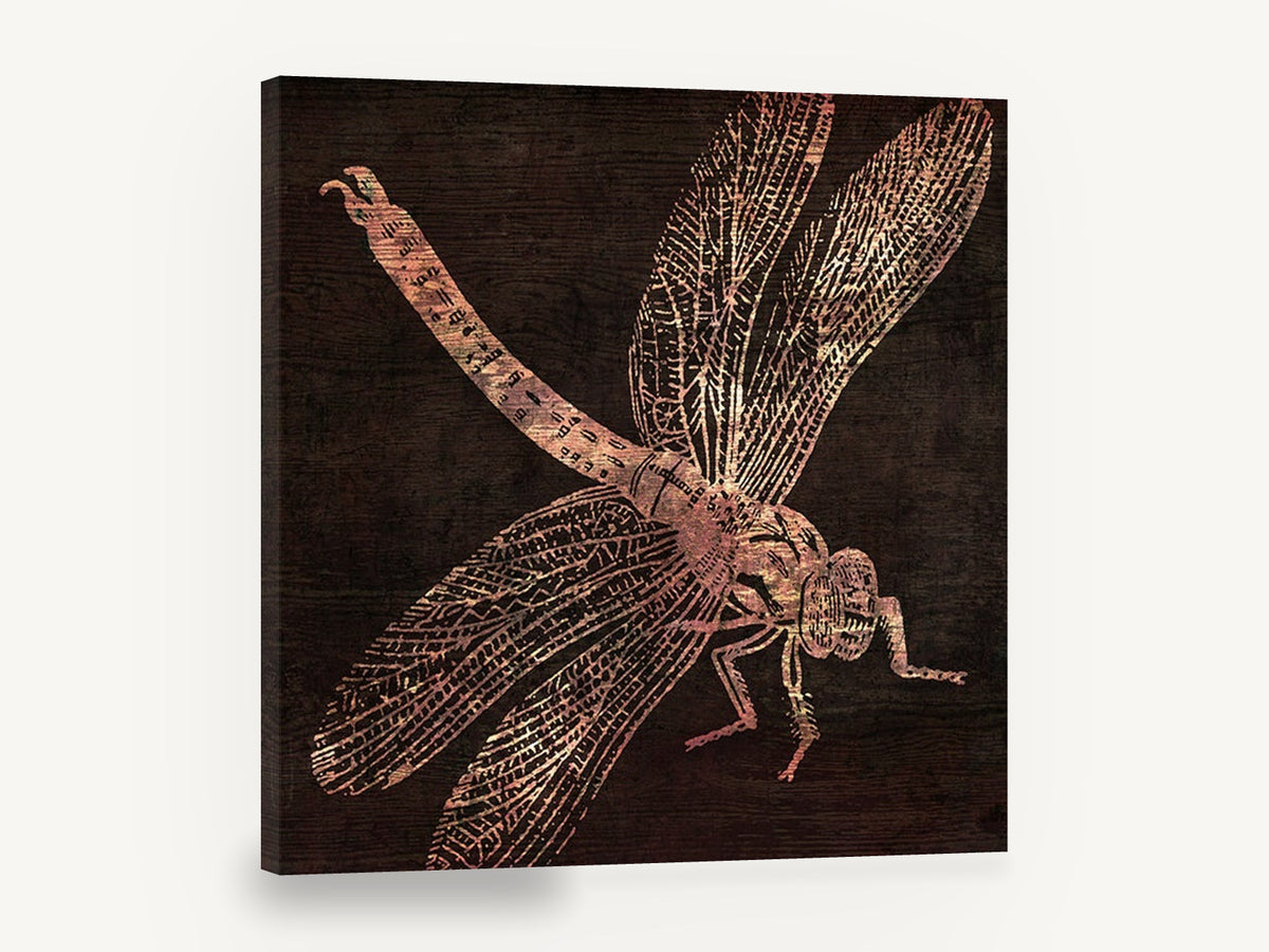 Copper Dragonfly on Timber, copper dragonfly illustration on dark wood, animal canvas wall art print ready to hang