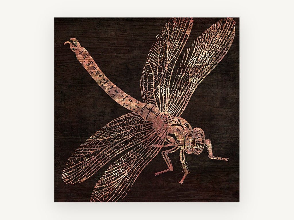 Copper Dragonfly on Timber, copper dragonfly illustration on dark wood, animal canvas wall art print, front view