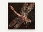 Copper Dragonfly on Timber, copper dragonfly illustration on dark wood, animal canvas wall art print, front view
