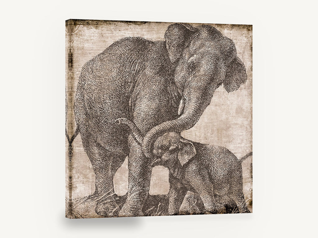 Elephant Mother and Calf, vintage elephant etching, animal canvas wall art print ready to hang