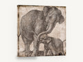 Elephant Mother and Calf, vintage elephant etching, animal canvas wall art print ready to hang