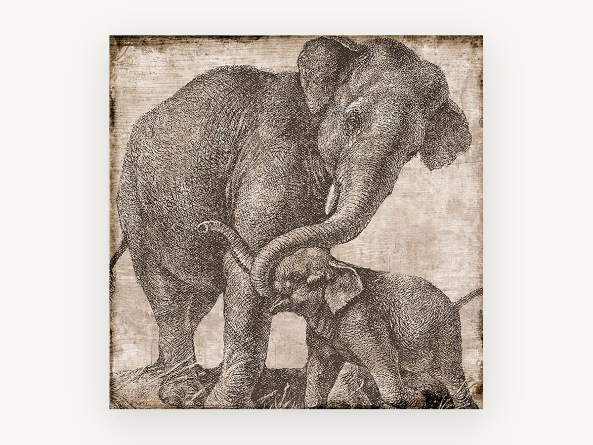 Elephant Mother and Calf, vintage elephant etching, animal canvas wall art print, front view