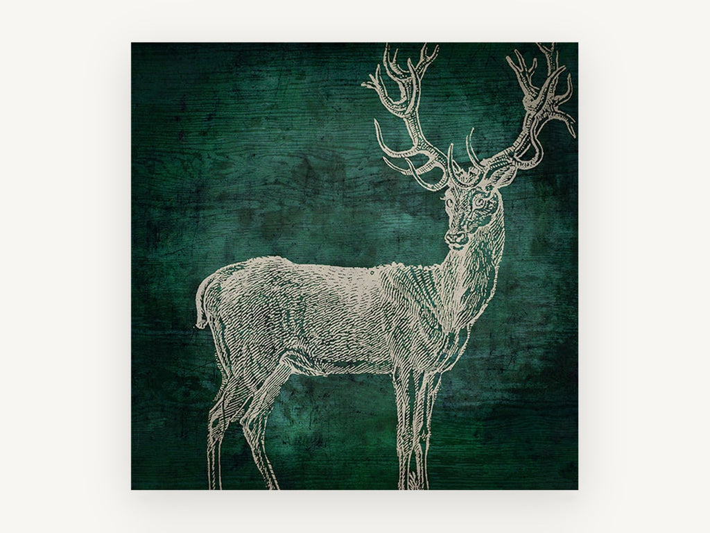Emerald Woodgrain Stag, vintage stag engraving on green, animal canvas wall art print, front view