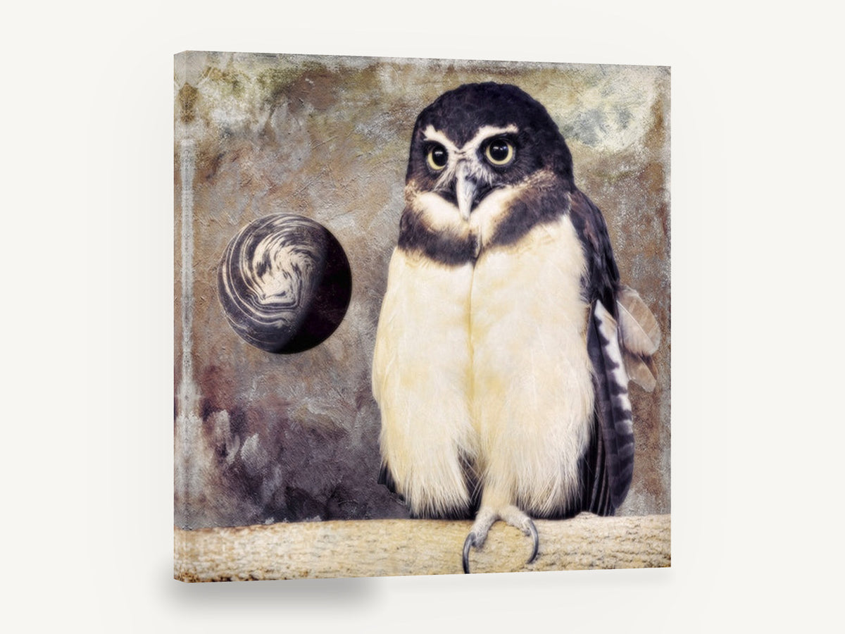 Spectacled Owl and Moon, spectacled owl textured photograph, animal canvas wall art print ready to hang