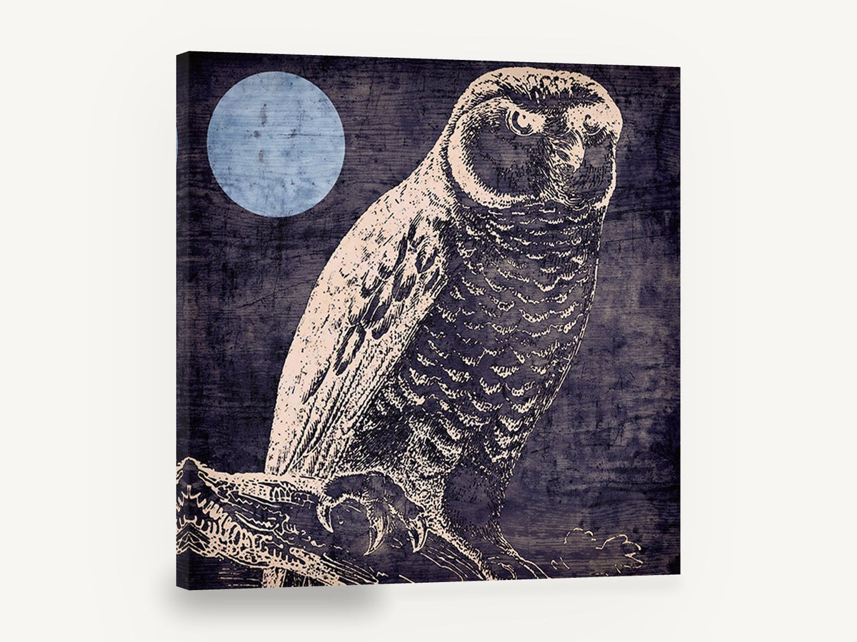 Owl Under Pale Moon, owl and moon etching illustration, animal canvas wall art print ready to hang