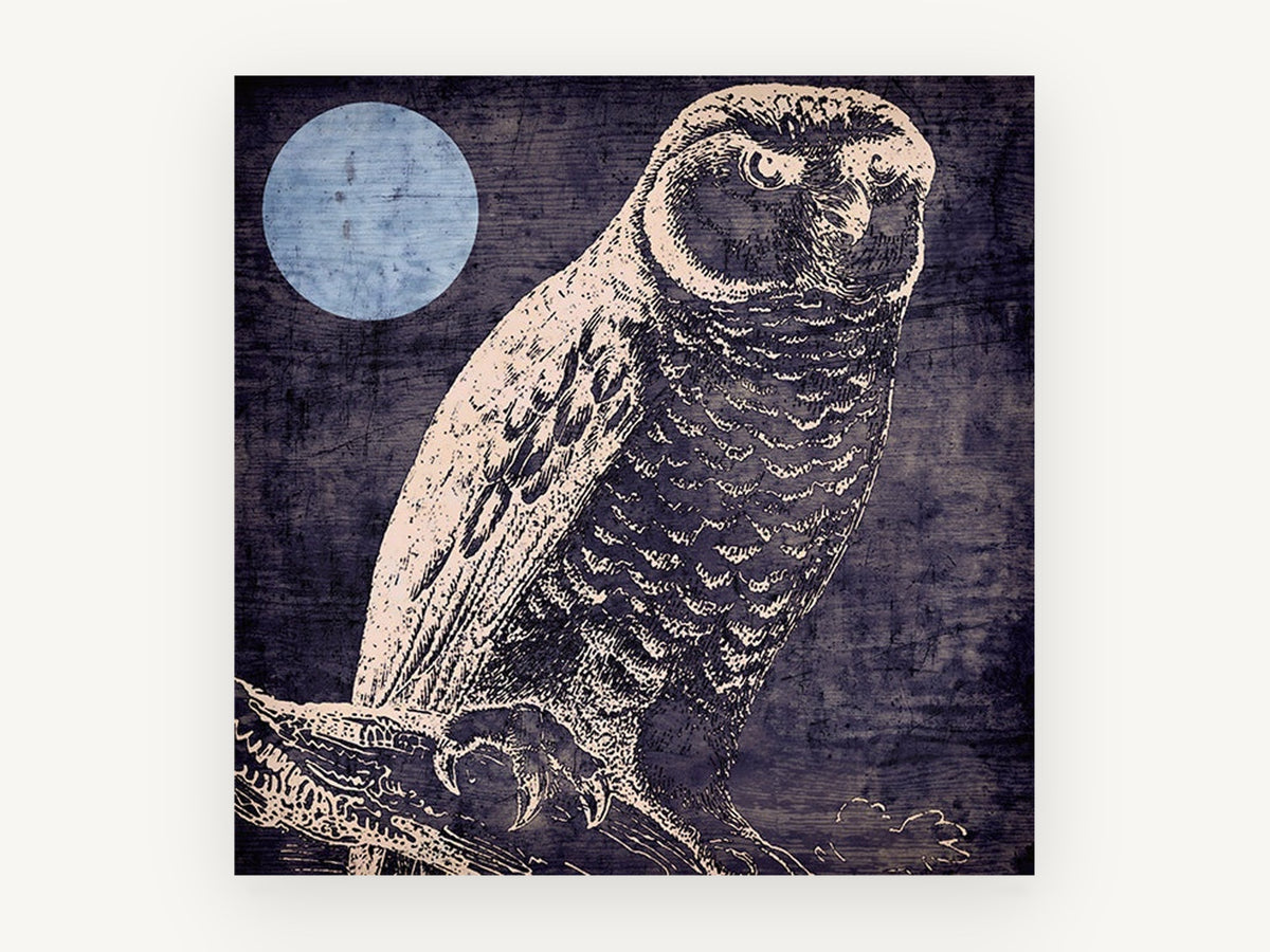 Owl Under Pale Moon, owl and moon etching illustration, animal canvas wall art print, front view