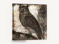 Etched Horned Owl, vintage owl etching illustration, animal canvas wall art print ready to hang
