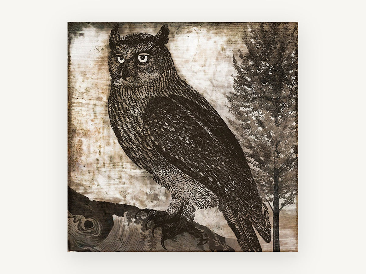 Etched Horned Owl, vintage owl etching illustration, animal canvas wall art print, front view