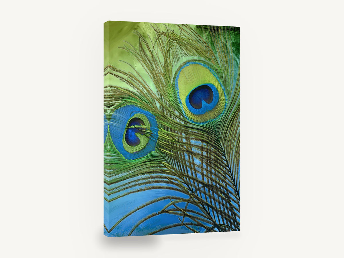 Peacock Eyes in Teal, peacock feather digital illustration, animal canvas wall art print ready to hang