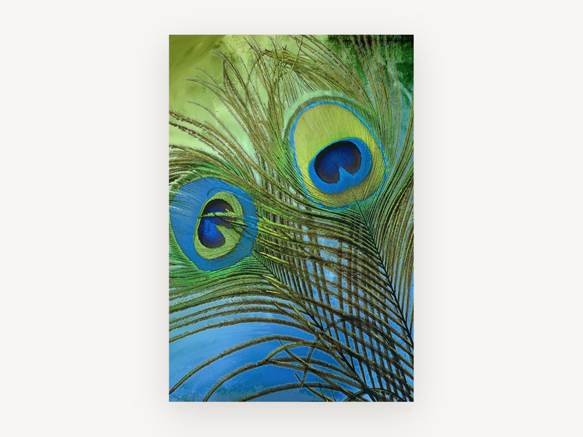Peacock Eyes in Teal, peacock feather digital illustration, animal canvas wall art print, front view