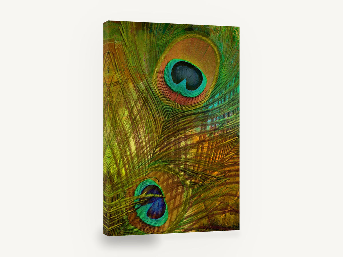 Peacock Feather Eyes, peacock feather digital art, animal canvas wall art print ready to hang